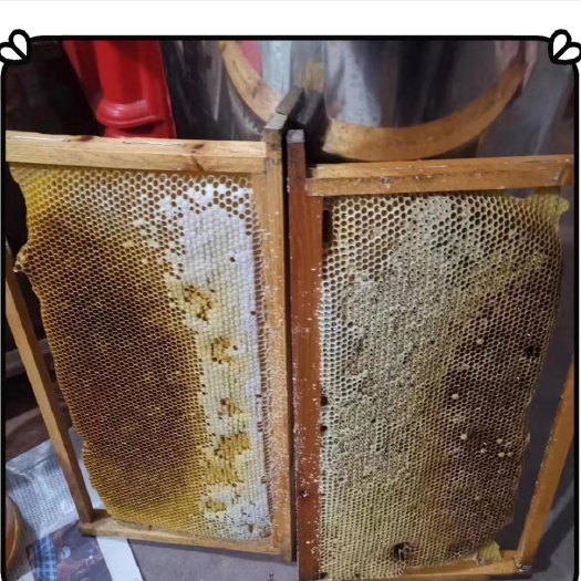 磁县天然蜂蜜