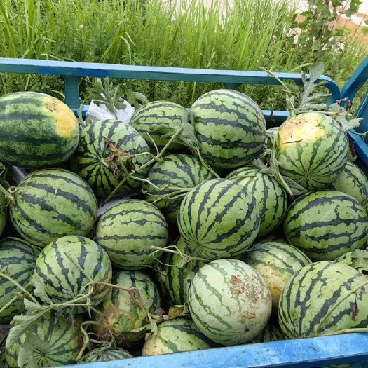 长沙精品美都