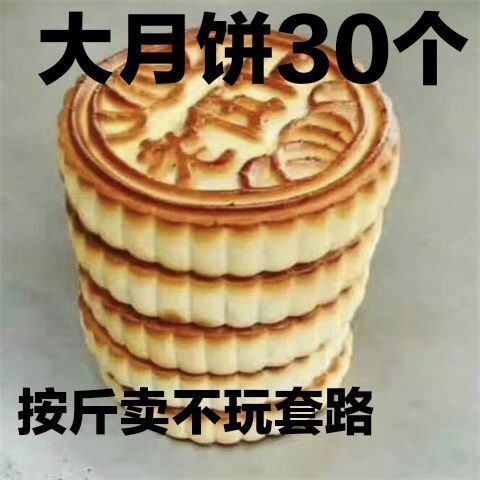 泰安【大月饼】山东特产传统老五仁月饼广式大五仁月饼点心100克