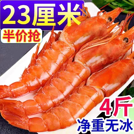 阿根廷大红虾鲜活速冻冰川特大红虾刺身海鲜大虾鲜活冷冻超大
