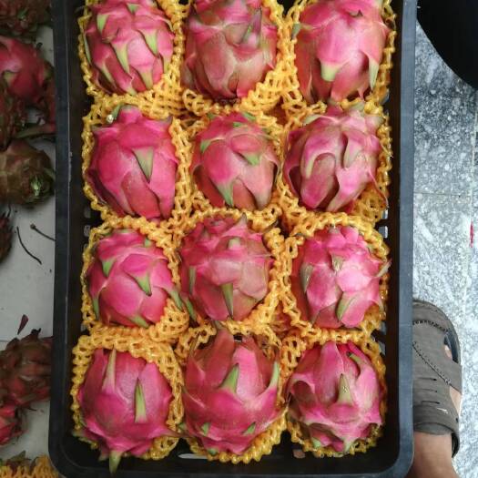 石屏县红心火龙果，口感好，甜度高