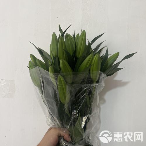 百合黄天霸