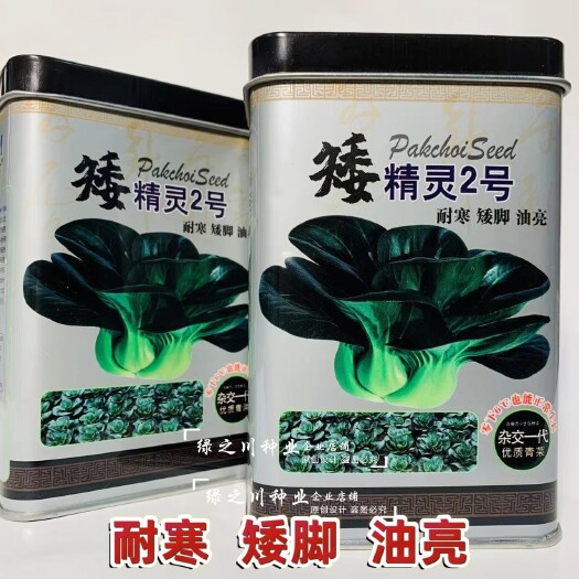 菜农推荐矮精灵2号苏州青种子矮脚油亮耐寒青菜油菜种子基地专用