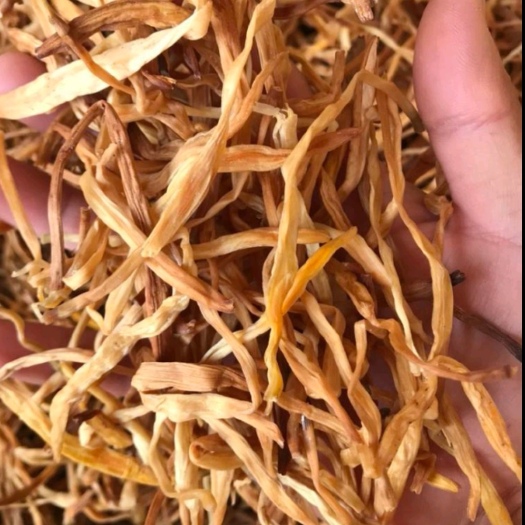 韩城市精品黄花菜自然晾晒