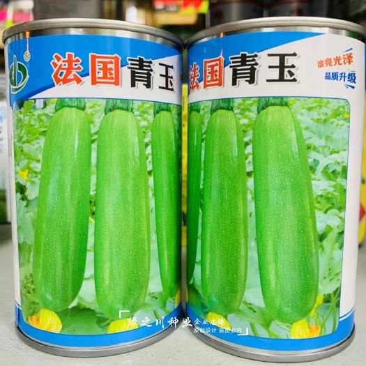 新引进早熟西葫芦种子法国青玉西葫芦瓜 小占瓜青瓜种子翠绿耐寒