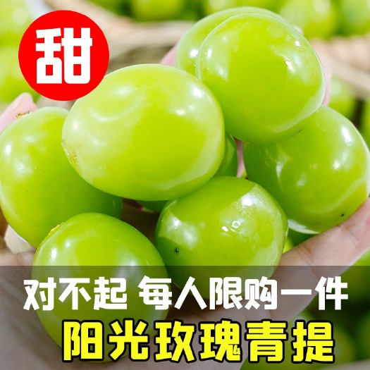 长沙一件代发阳光玫瑰葡萄皮薄肉厚特级果新鲜香现摘现发青提纯甜无籽
