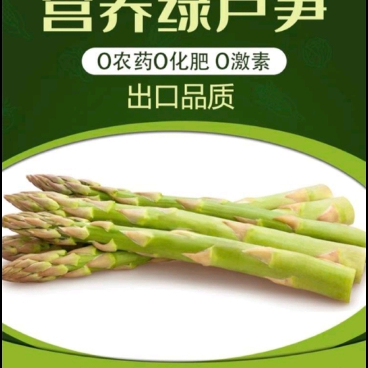 安阳县绿芦笋 蔬菜大王 大中小各种规格都有