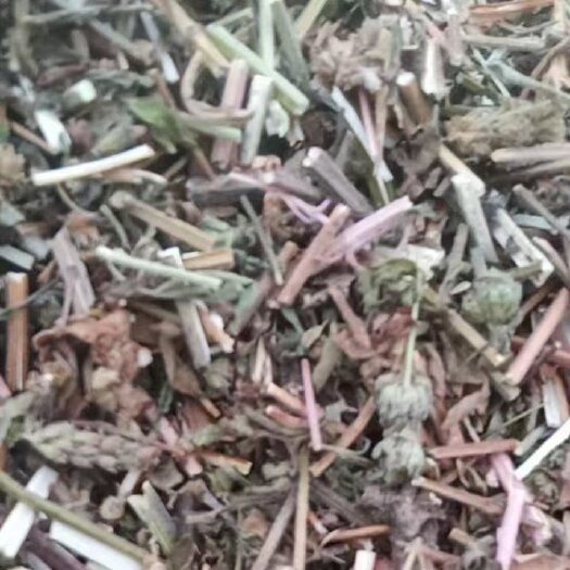 亳州荆芥全棵饮片，30吨需要的老板联系合作共赢