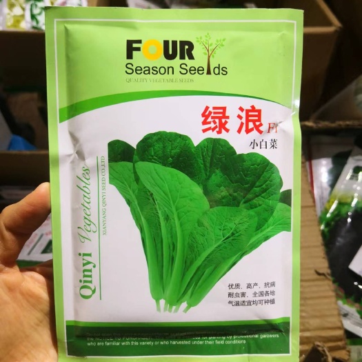 西安小白菜种子绿浪 强绿快菜种子四季速生耐热耐寒耐湿阳台庭院种植
