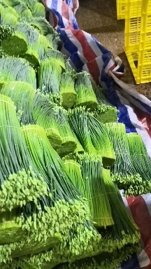 岑溪市韭菜花（韭苔）