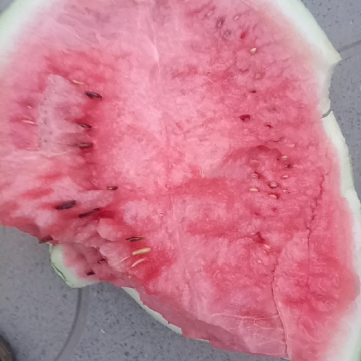 赵县西瓜