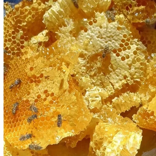 成都蜂蜜  好质量蜂巢蜜，多种品种，货源充足，量大从优，一手批发