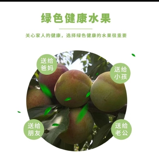 盐津县云南半边红李子脱骨李脆甜