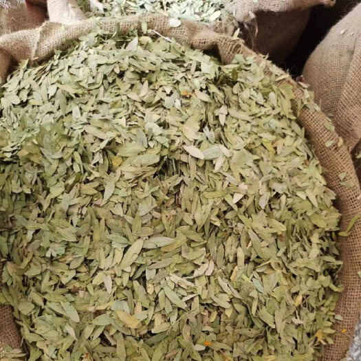 番泻叶 泻叶 泻叶花茶 中药材番泻叶