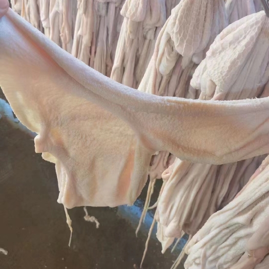 河间市羔羊净肚
