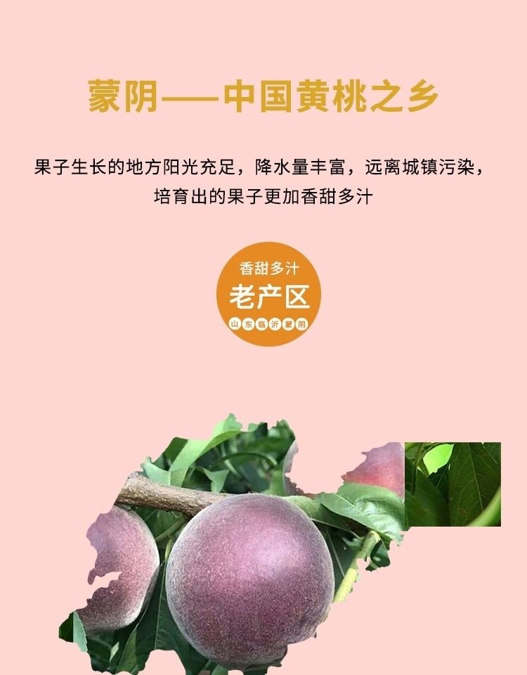 山东蒙阴黑桃皇后桃子水蜜桃当季现摘现发新鲜水果