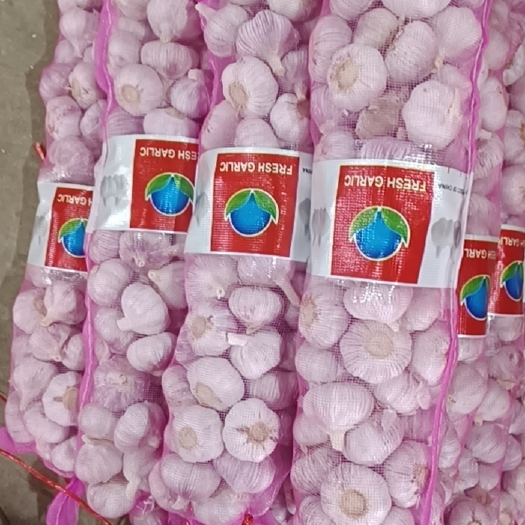 金乡县金乡红蒜出口欧美中东价格优质量有保证，支持货到验货后付款