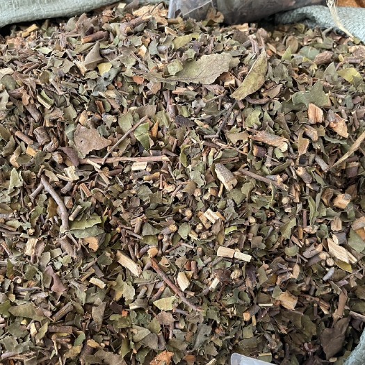 茶树寄生 干货