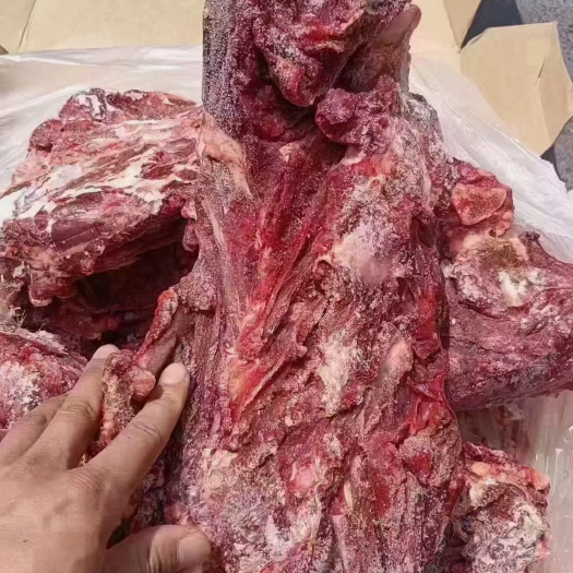 郑州牛脖骨，满肉的，开箱实拍看质量，质量保证，支持样品试货。