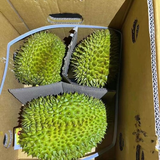 南宁今天没有拿到货的老板看过来5点半到一车泰国南部榴莲欢迎移步B
