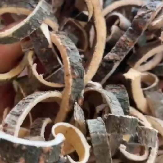 张家界合欢皮干货切丝