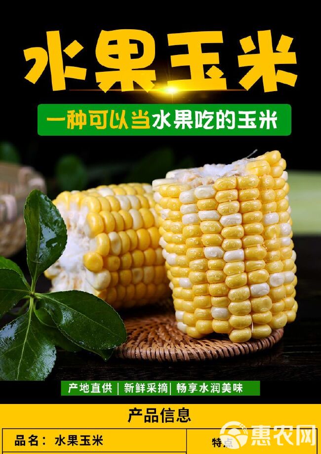 品质金银双色水果玉米爆汁现摘现发价格美丽电商直播代发批发