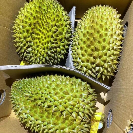 南宁今天没有拿到货的老板看过来5点半到一车泰国南部榴莲欢迎移步B