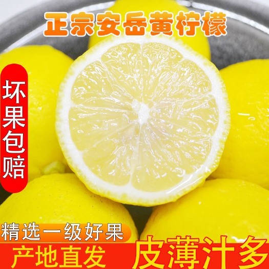 安岳县包邮安岳黄柠檬90 －110克产地直发地头价奶茶店一件代发