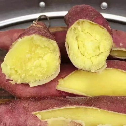 【一件代发】陕西板栗红薯承接电商直播抖音快手视频号小红书团购