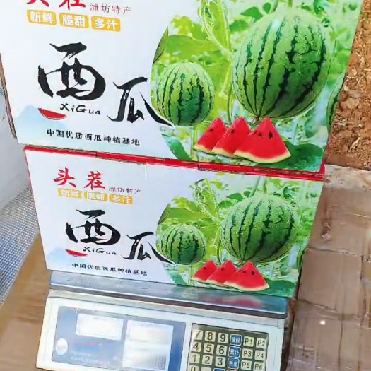 漯河大量批发精品小吊