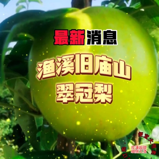 巴中翠冠梨