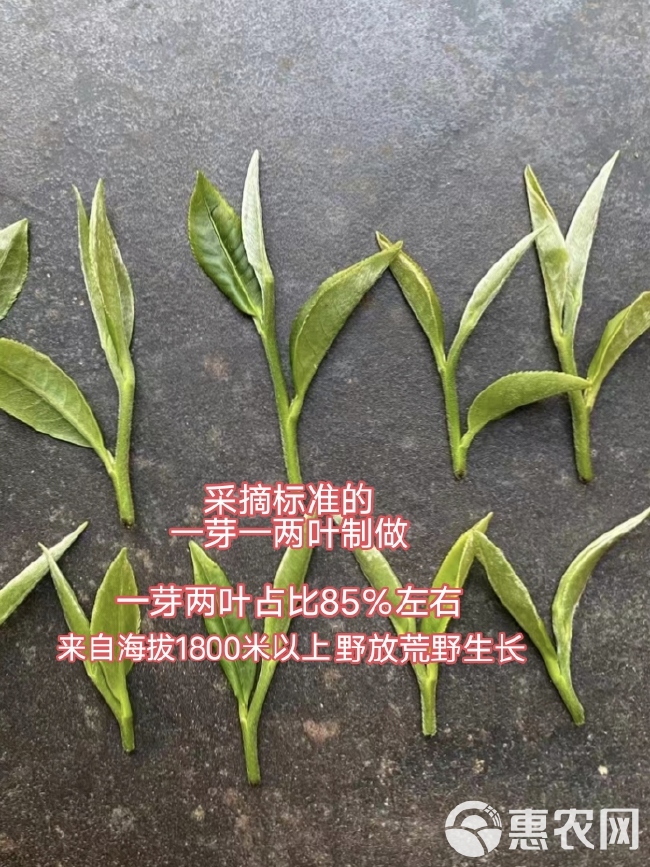 老品种绿茶二叶500g一芽一两叶制做，炒青绿茶高山老品种茶