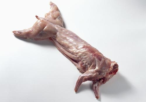 剥皮新鲜速冻兔肉（去头去内脏）现杀鲜冻发货，量大从优