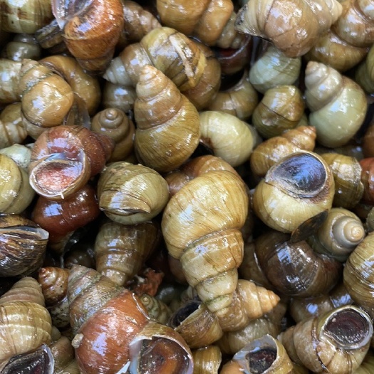 鱼台县1.4不去炮头 大量鲜货