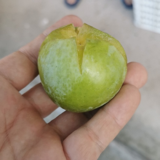 巴中天气原因，大部分开裂可以便宜出售