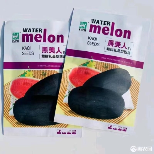 沭阳县西瓜种子黑美人超甜礼品西瓜种子长概圆形墨绿色果肉红色甜脆多汁