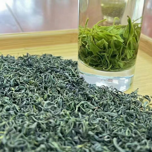 宜昌毛尖茶