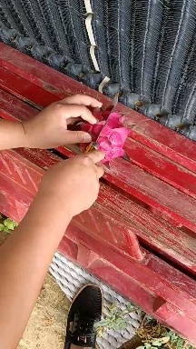 火龙果市场，电商产地直发