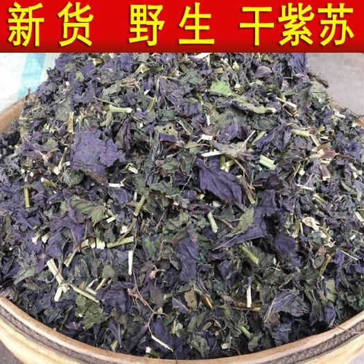 亳州紫苏叶中药材紫苏苏叶正品紫苏叶紫苏子纯天新鲜500克