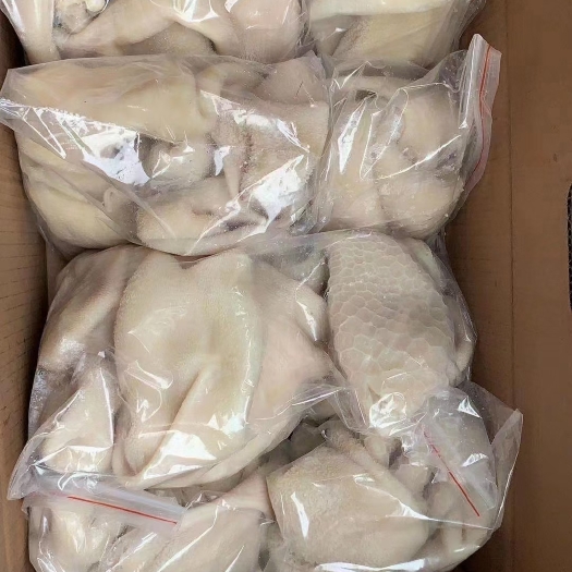 郑州羊肚，熟羊肚，干净去油可以直接用，爆炒凉拌烧肚丝汤等都好用。