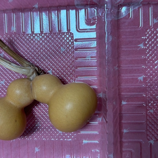 聊城天然异型葫芦