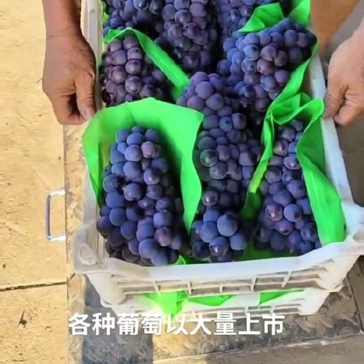 威县青夏黑大量有货，价格美丽，一块一一斤，适合酒厂，罐头厂