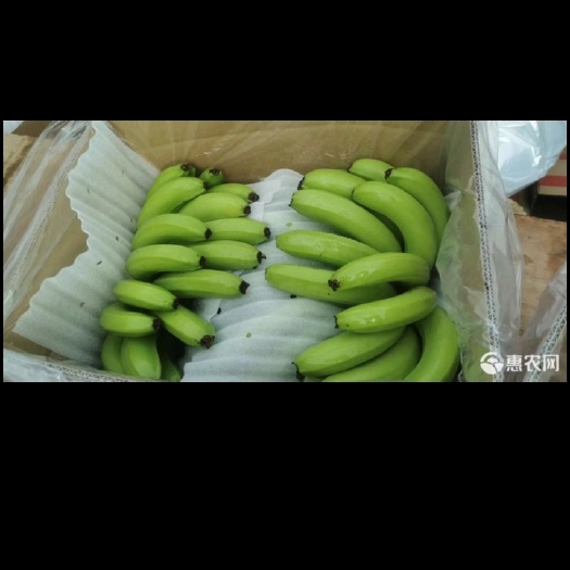 南漳县有大量香蕉批量出，价格低