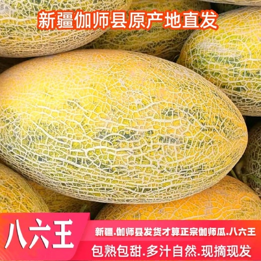伽师县新疆伽师瓜味道甜瓜八六王当季新鲜水果皮薄脆甜整箱8-16斤