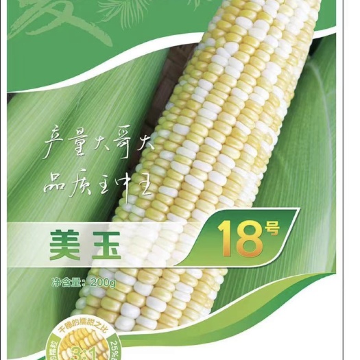 成都美玉18号