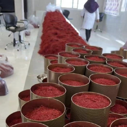 西宁精品甄选红花