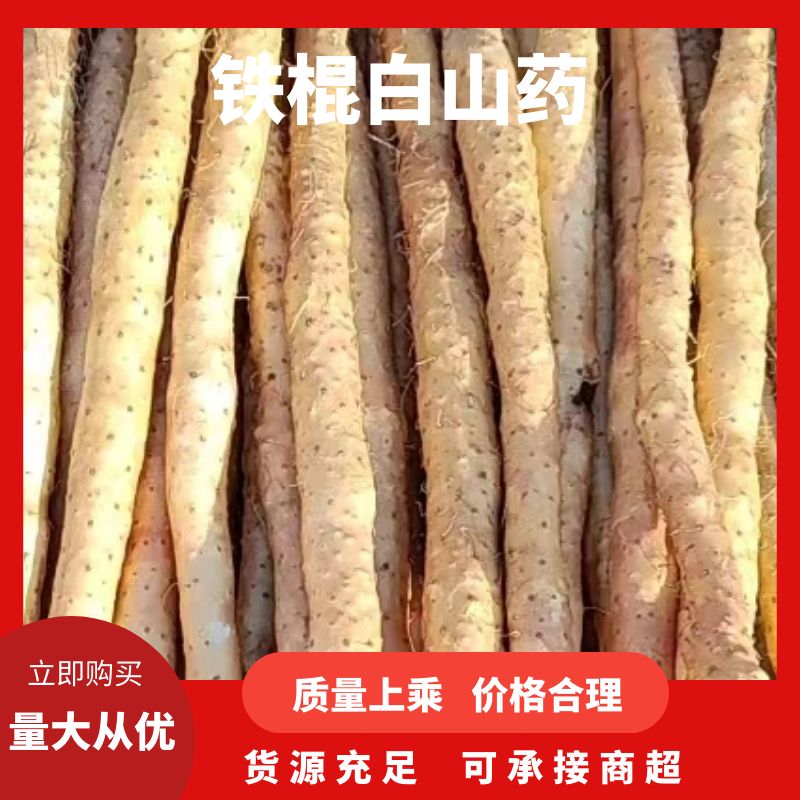 白山药小白嘴，铁棍白山药，白山药，山药豆