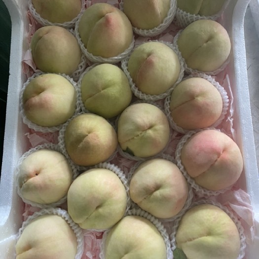 绍兴白凤水蜜桃