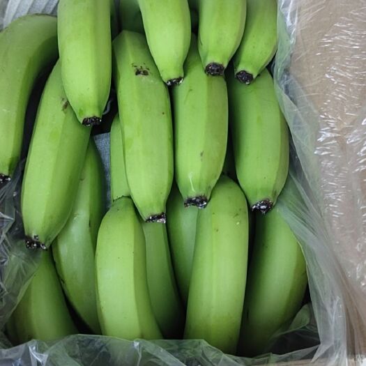 汕头广东香蕉，一斤2元