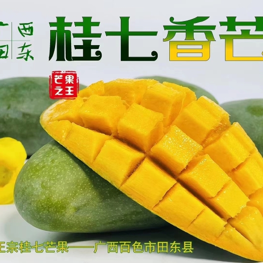 田东县芒果之乡桂七芒自家果园，产地批发，可一件代发，全国包邮
